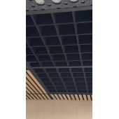 Piekaramo Griestu Paneļi Pet Felt