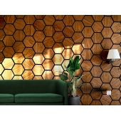 HEXAGON PANEĻI